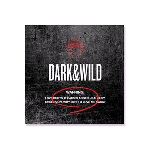 BTS Album Dark and Wild
